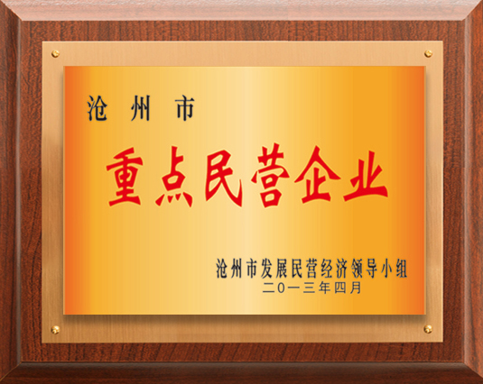 重點(diǎn)民營(yíng)企業(yè)